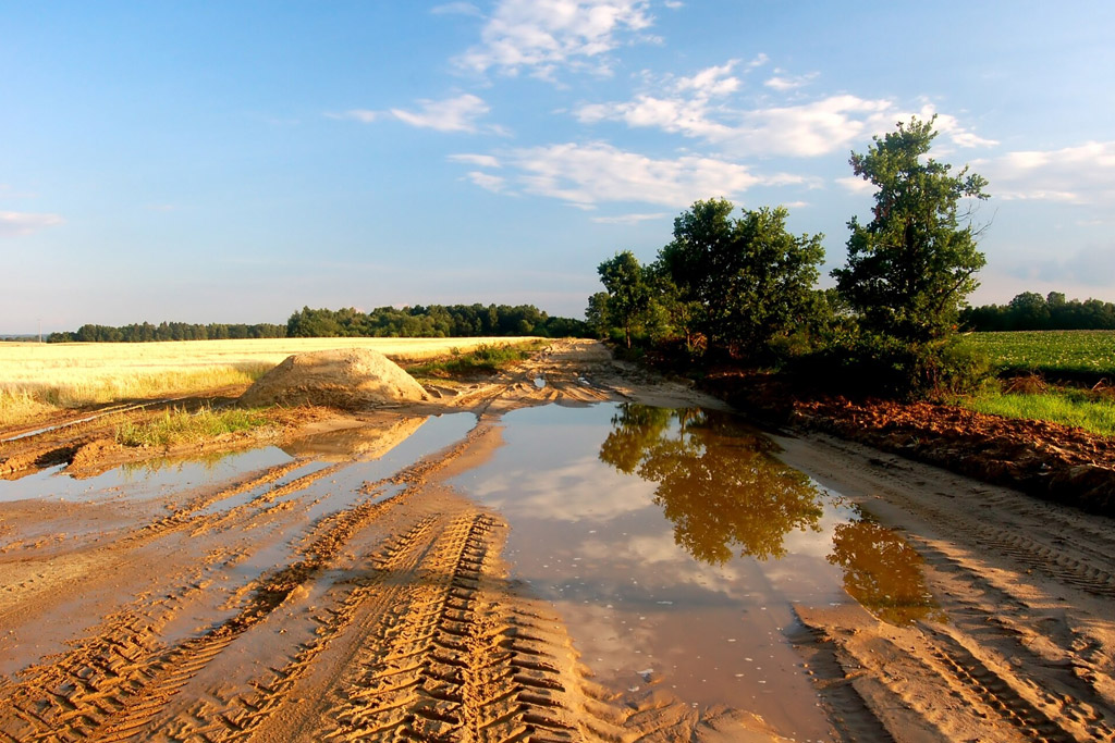 Shell-Lubricantes-Agricultura-condiciones-cambiantes Shell Lubricantes Agricultura condiciones cambiantes